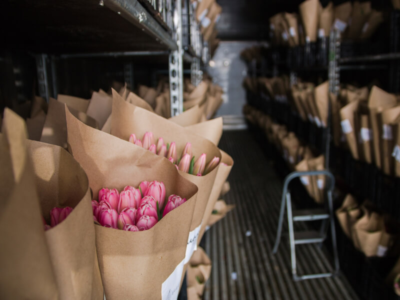 How Does Temperature Impact Cut Flowers? iceotemp