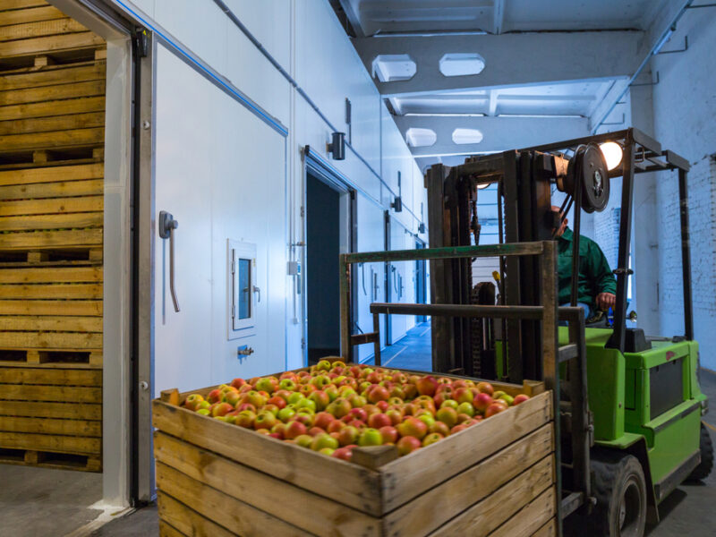 The Importance of Temperature-Controlled Logistics in Today's Food Industry